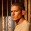 Michael Scofield