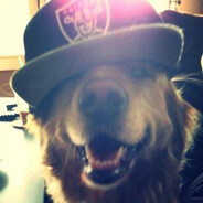 webmalchikiplatona.ceo