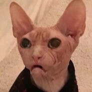 每个人都想当鬼