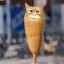 Gurt