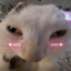 Arcvine