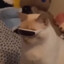 slo_mo