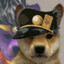 pepogod