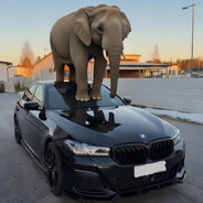 osmo - steam id 76561198997017122