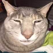 𝗡𝗿𝗮𝗹𝘂𝗰