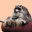 CheckOutThisGuy-