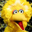 BigBird11