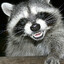 Snuffie