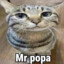 Mr.popa