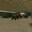 Reeder Farms avatar
