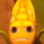 corn with a kernel