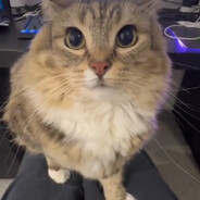 𝘀𝗽𝗲𝗰𝘁𝗲𝗿𝗿