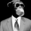 Mister_Monki