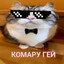 -holo
