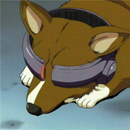 门前大桥下游过一群鸭