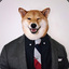 * MR.SHIBA *