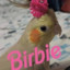 Birbie