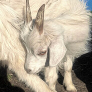 笑穴好痒挂机挠会