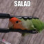 Salat