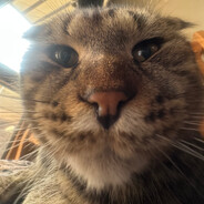 Watching ya✈𓆰𓆪