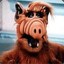 Alf