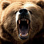 Onionbear