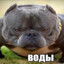 воды