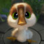 Popi