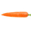 carrot