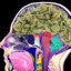 No, Weed Won&#039;t Rot Your Brain