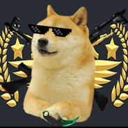 JohnDoge