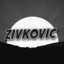 skinhub.com Zivkovic