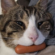 i like hotdogg