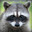 Deviant Raccoon's avatar