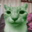 vincent