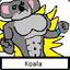 Koala haHAA
