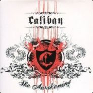 tom - steam id 76561197963474753