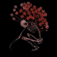 枪马网卡耳朵聋