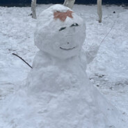 追不上奔驰的拓海