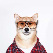 丧心病狂的小马