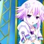 nep nep