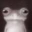frog.