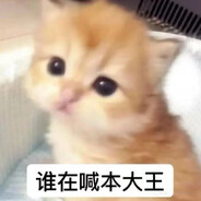 麦当当大学在读糕手