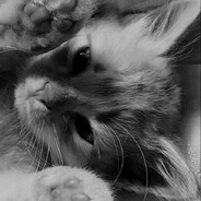 Ari - steam id 76561199575107220