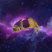 I'm worried about you