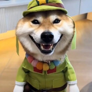 不想努力了PLUS版