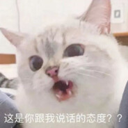 是小迪啊