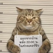 别动我的麦乐鸡