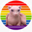 Bingus