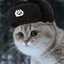 ComradeKittyCat